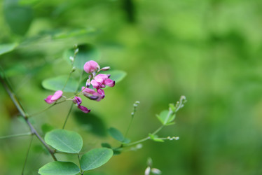 Similar image 21074668