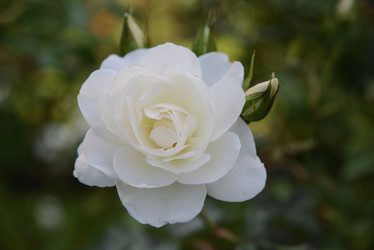 Similar image 21035076