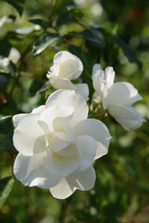 Similar image 21025489