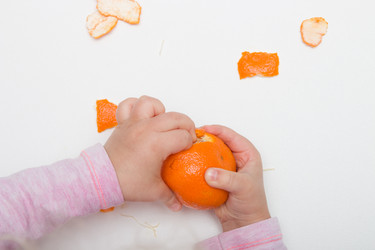 Similar image 21052404