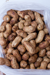 Similar image 21051459