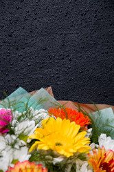 Similar image 21052195