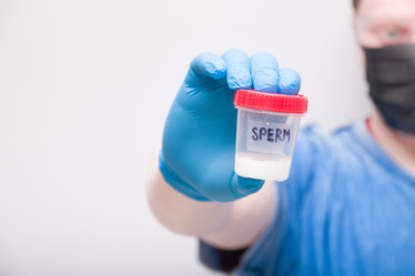 Similar image 21033129