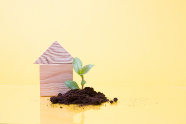 Similar image 21051491