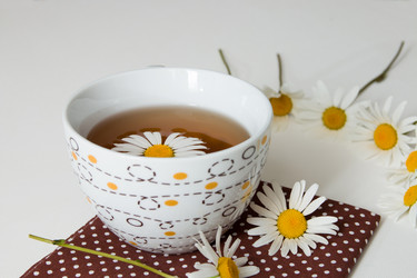 Similar image 21052468