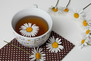 Similar image 21052469