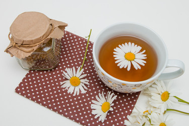 Similar image 21052471