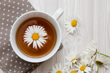 Similar image 21052829