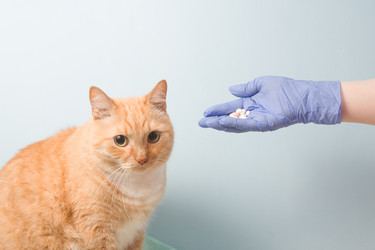 Similar image 21052509