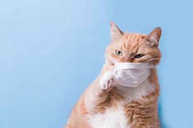 Similar image 21031236