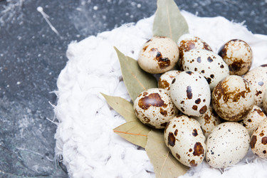 Similar image 21032363