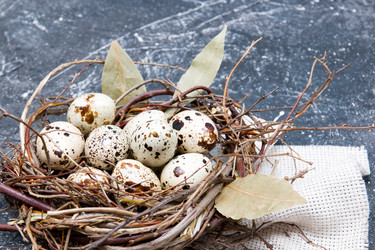 Similar image 21033173