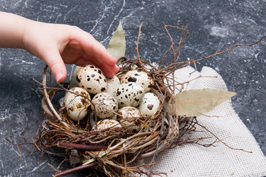 Similar image 21033175