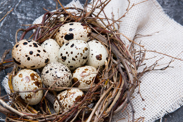 Similar image 21033176