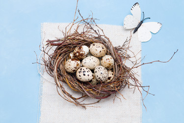 Similar image 21033178