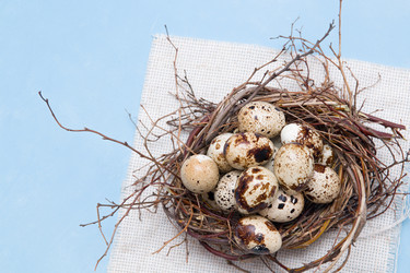 Similar image 21033179