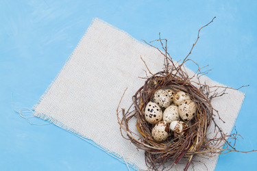 Similar image 21033181