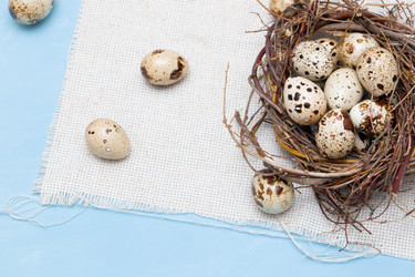 Similar image 21033184