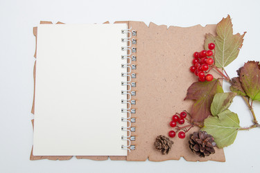 Similar image 21033186