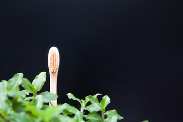 Similar image 21023489