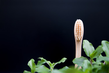 Similar image 21023490