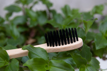 Similar image 21031246