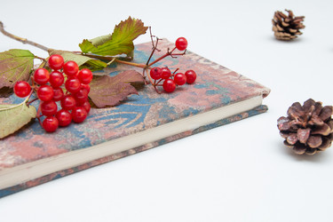 Similar image 21031249