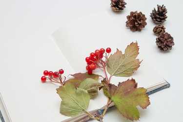 Similar image 21031250