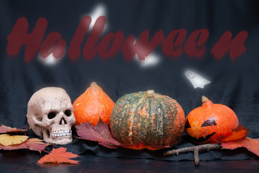 Similar image 21031347