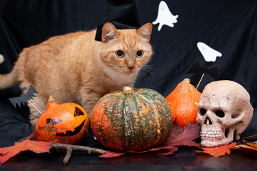 Similar image 21031354