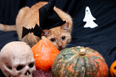 Similar image 21031360