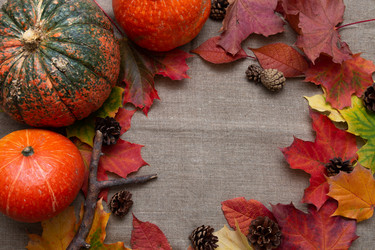 Similar image 21041510