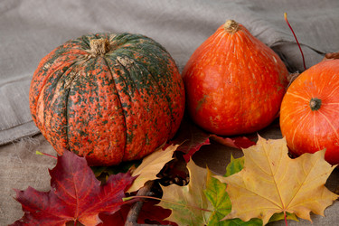 Similar image 21051520