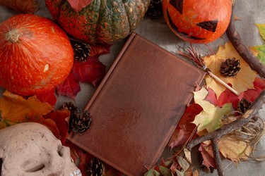 Similar image 21051529