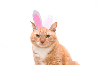 Similar image 21031363