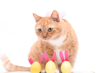 Similar image 21031365