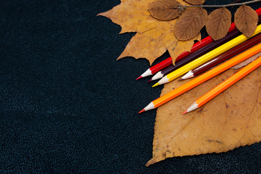 Similar image 21033188