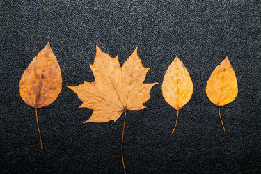 Similar image 21033189