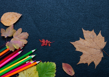 Similar image 21033190