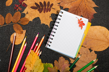 Similar image 21033195