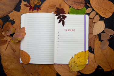 Similar image 21035313