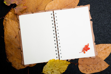 Similar image 21035314