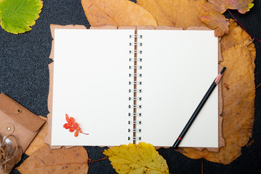 Similar image 21035316