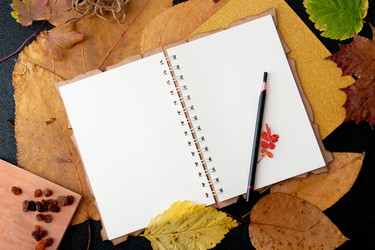 Similar image 21035317