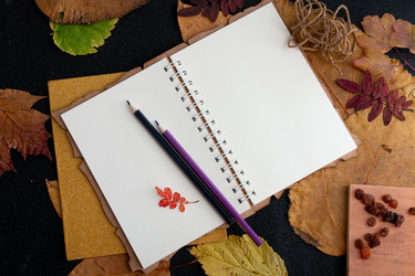 Similar image 21041430