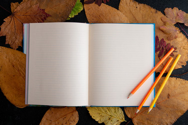 Similar image 21041432