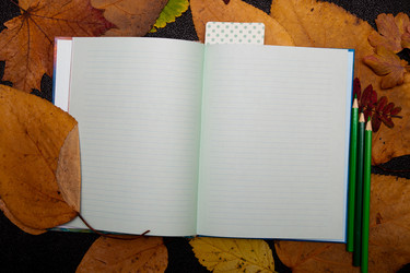 Similar image 21041437