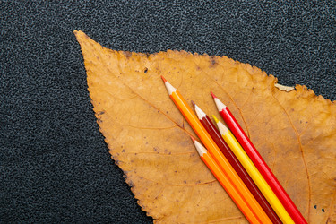 Similar image 21041511