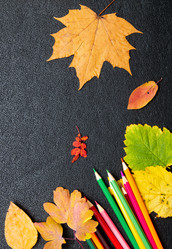 Similar image 21051540