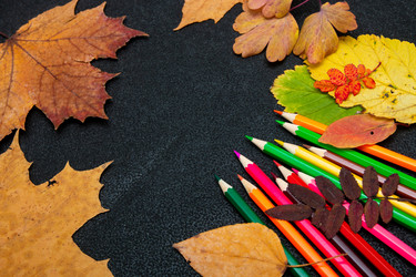 Similar image 21051542